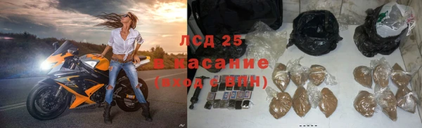 ГАЛЛЮЦИНОГЕННЫЕ ГРИБЫ Аркадак