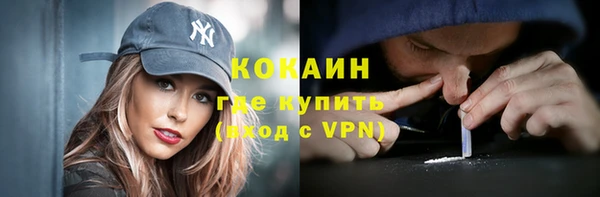 кокс Арсеньев