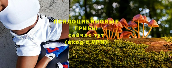 бошки Армянск
