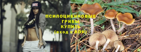 ГАЛЛЮЦИНОГЕННЫЕ ГРИБЫ Аркадак