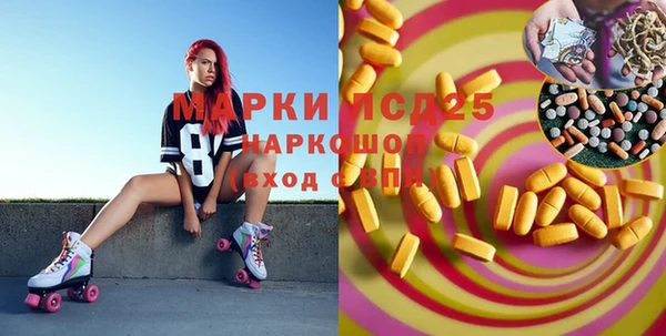 ГАЛЛЮЦИНОГЕННЫЕ ГРИБЫ Аркадак