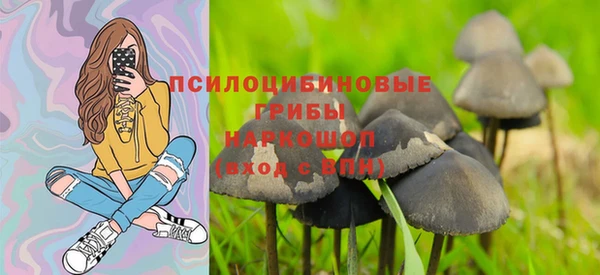 бошки Армянск