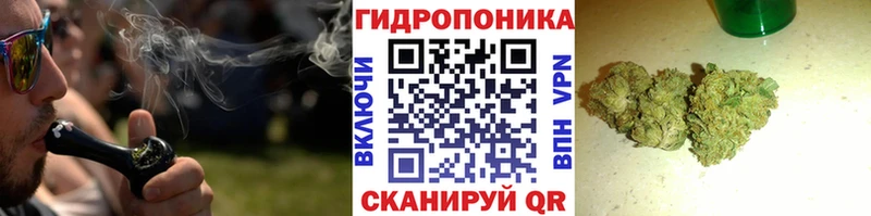 где найти   Рассказово  МАРИХУАНА сатива 